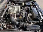 Thumbnail Photo 55 for 1993 Ford Mustang LX V8 Hatchback